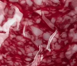 Salam Unguresc cu muștar, crud-afumat