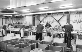 Nașterea brandului 3